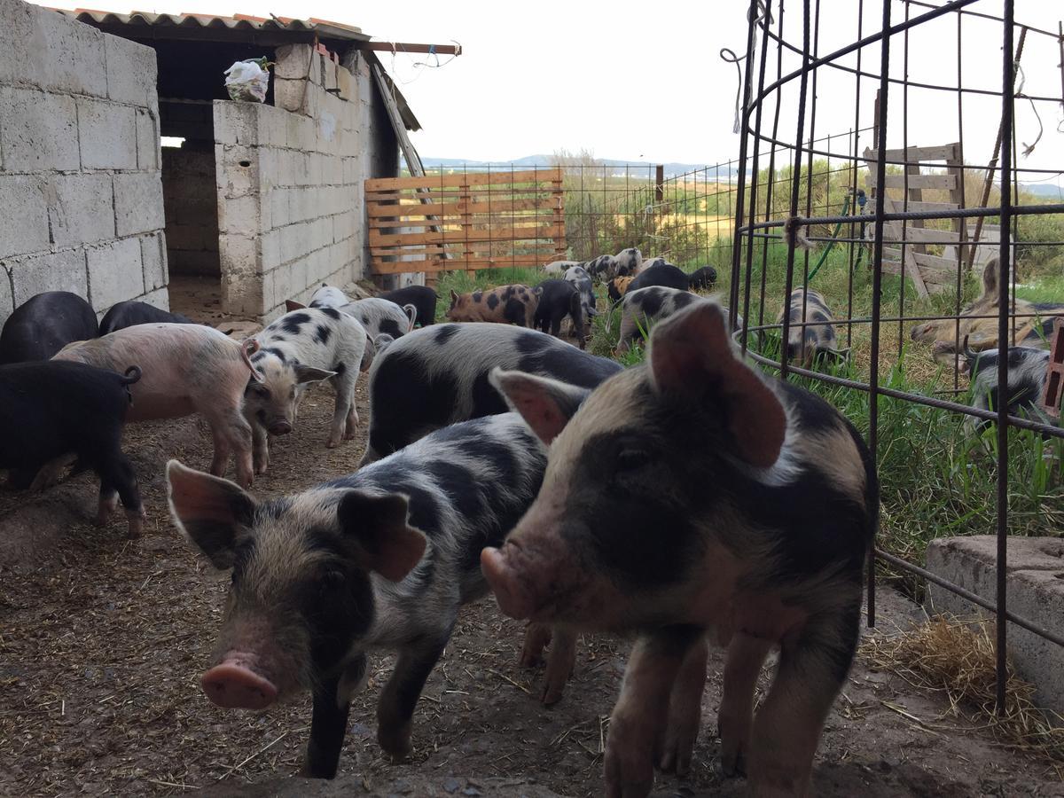 Agriturismo Su Meurreddu Tratalias Luaran gambar